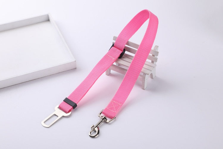 Ceinture de sécurité pour chien