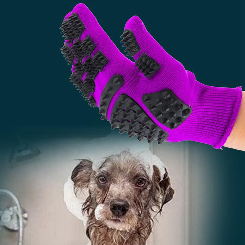 Gants de toilettage