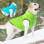 Doudoune pour chien réversible