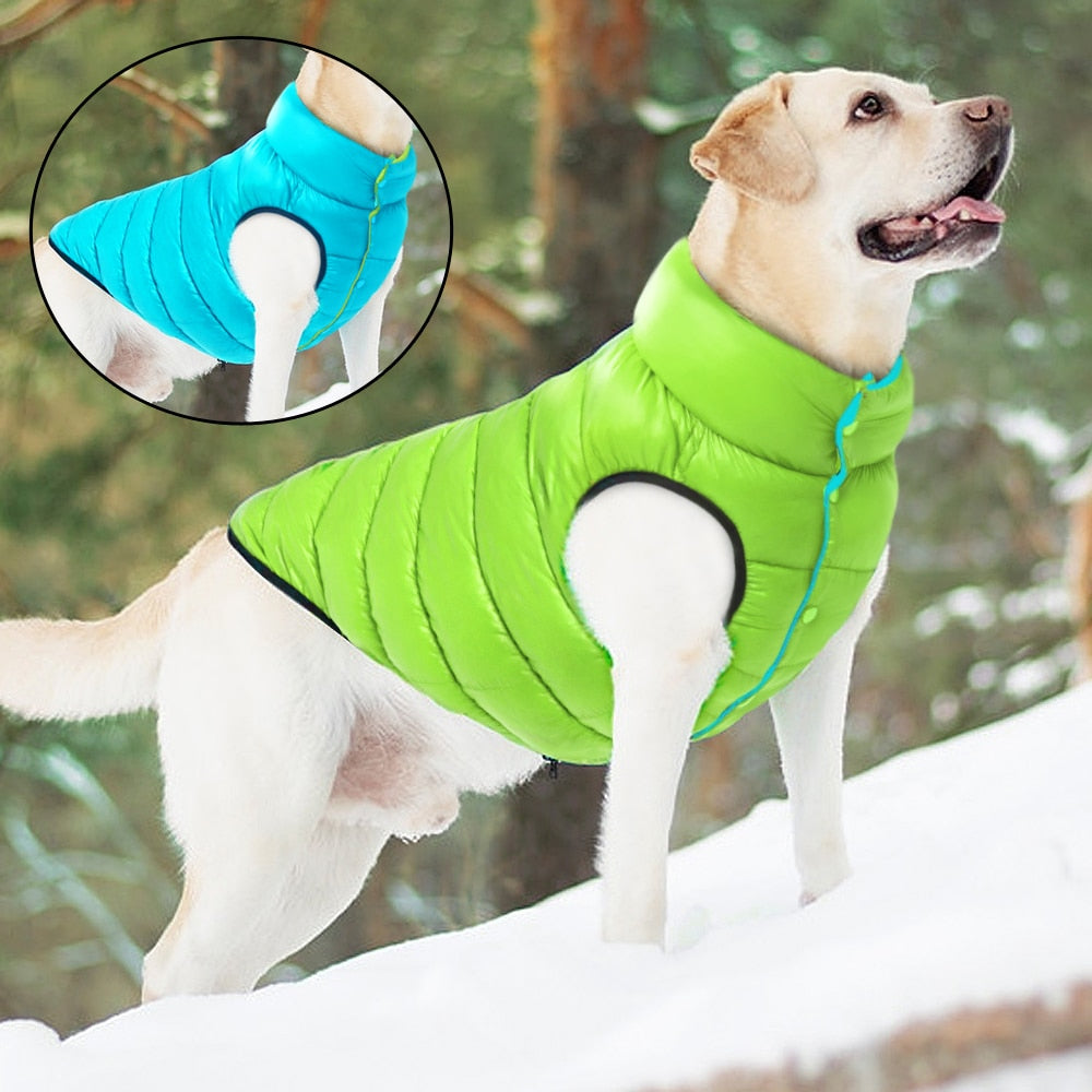Doudoune pour chien réversible