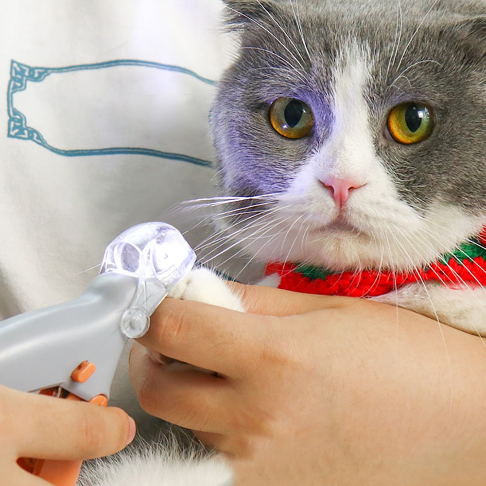 Coupe griffes sécurisé à LED chat chien