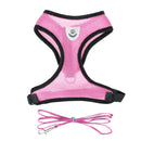 Harnais et sa laisse pour chat