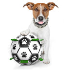 Ballon pour Chien