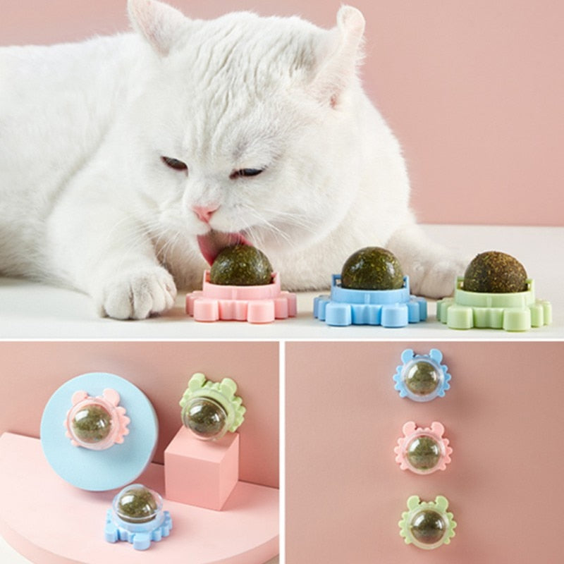 Boule d'Herbe à Chat Rotative