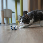 Souris en Folie Automatique