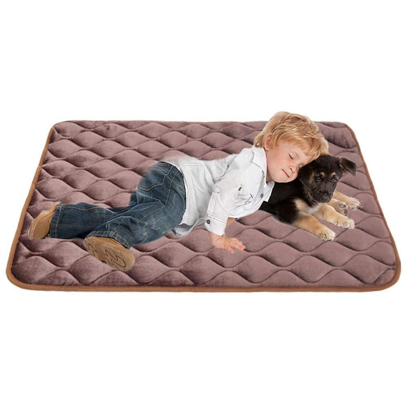 Cojín para perro