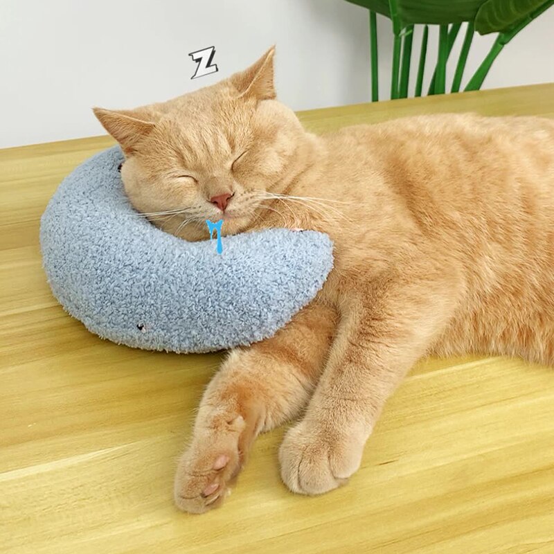 Oreiller pour chat