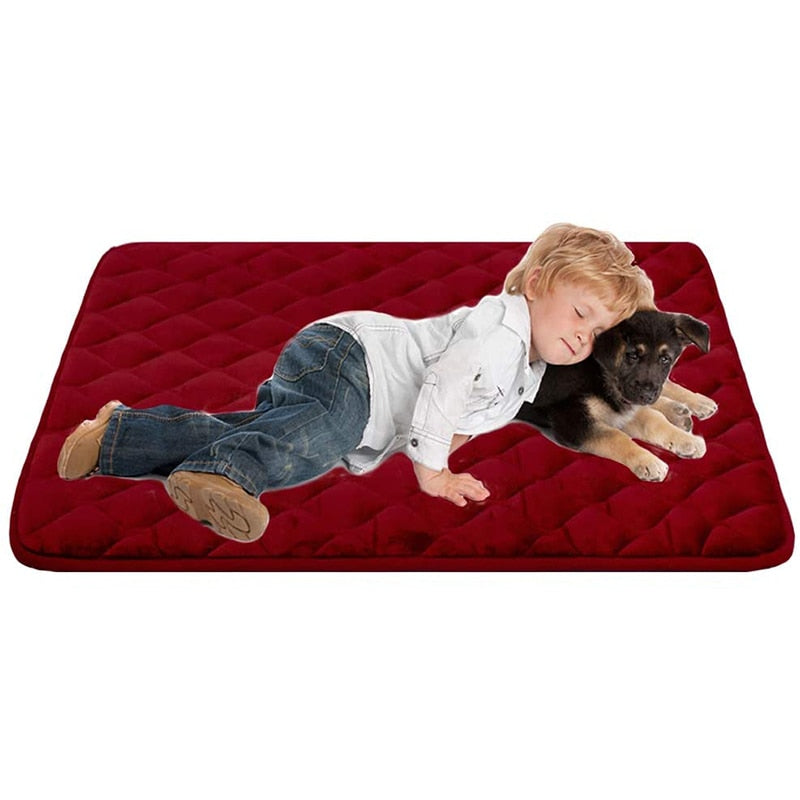 Cojín para perro