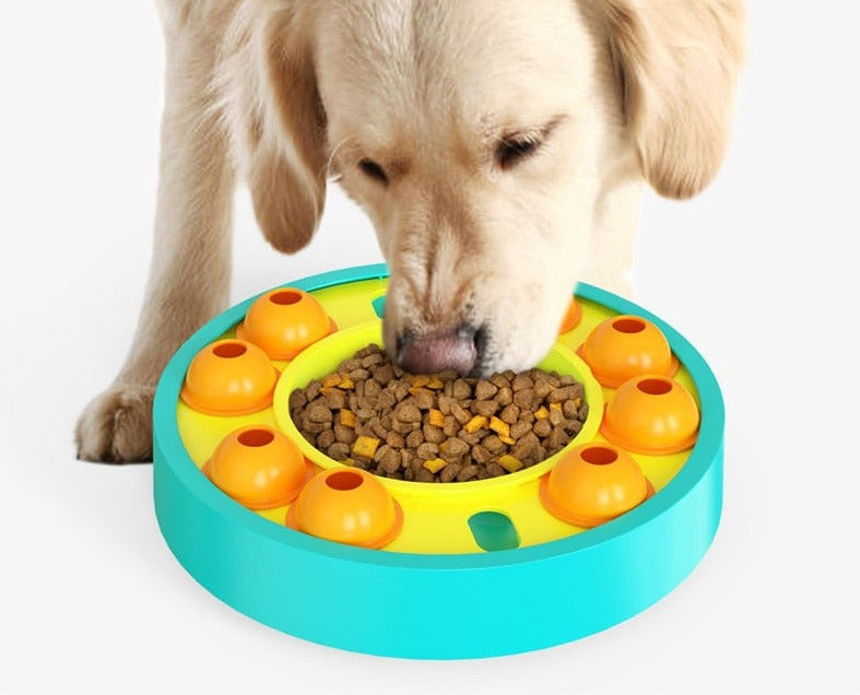 Jouet éducatif pour chien