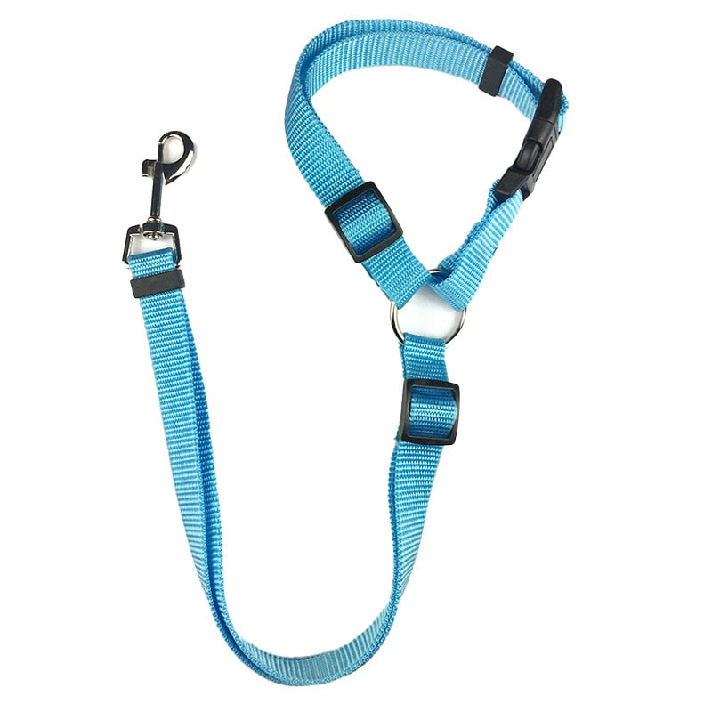 2-in-1 Seat Belt