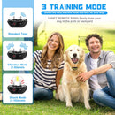 Collier Contre les Aboiements