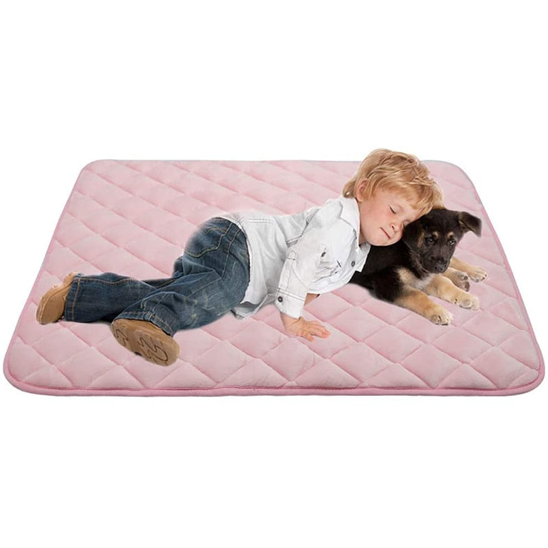 Cojín para perro