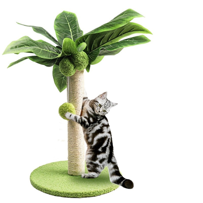 Arbre à chat Palmier