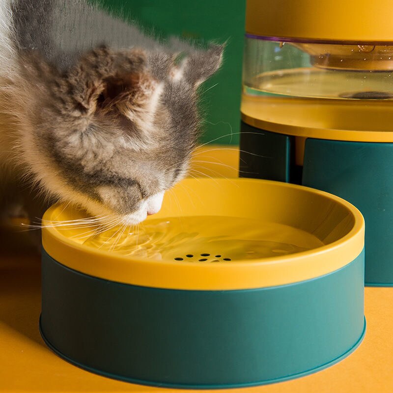 Gamelle Tendance avec sa Fontaine