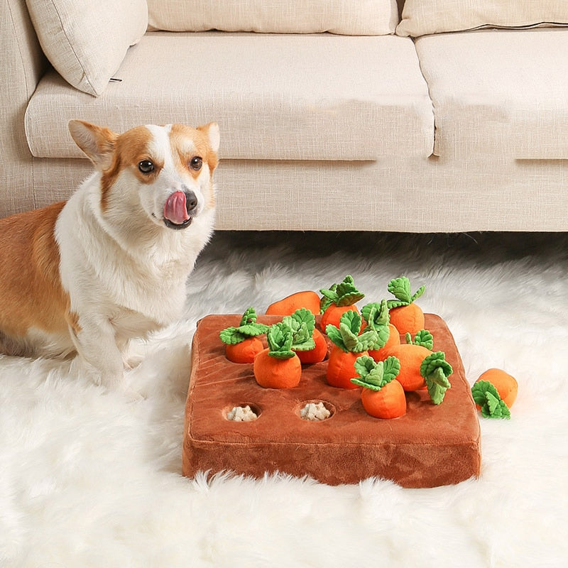 Carrot PLUSHIE : Carottes à macher !