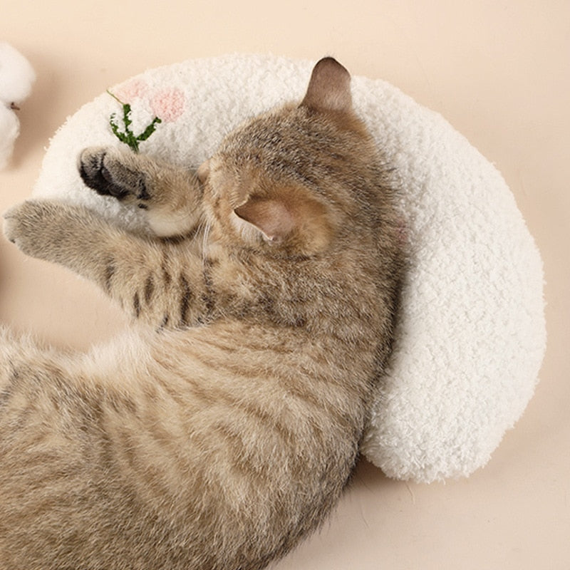 Oreiller pour chat