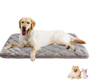 Coussin pour chien