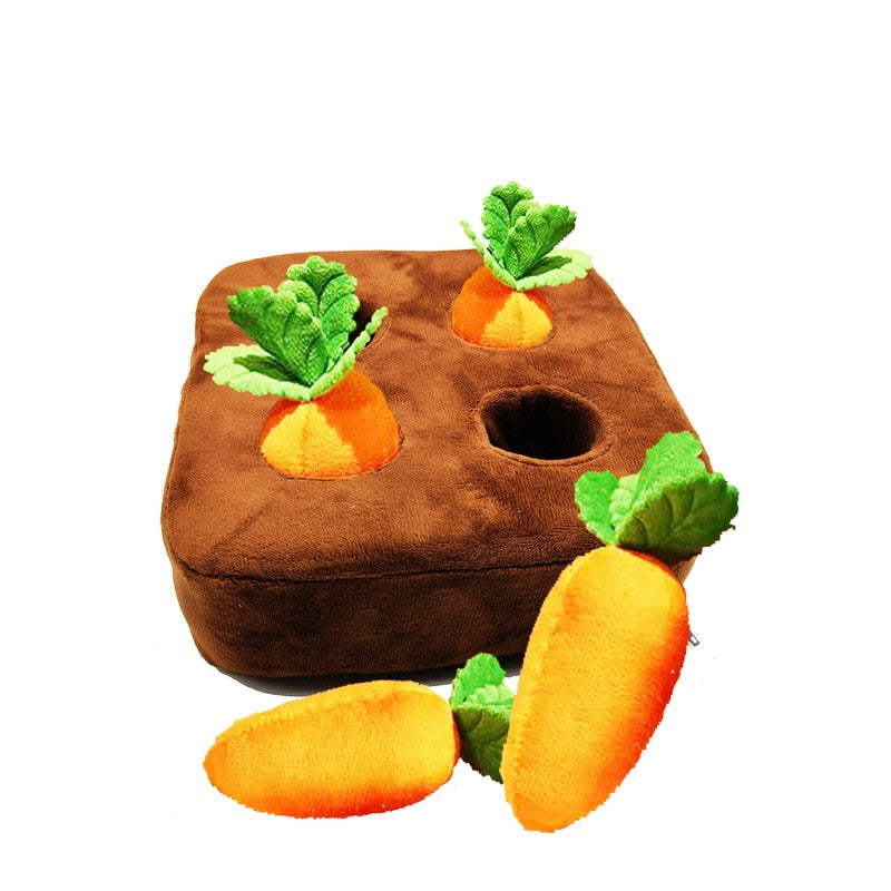 Carrot PLUSHIE : Carottes à macher !
