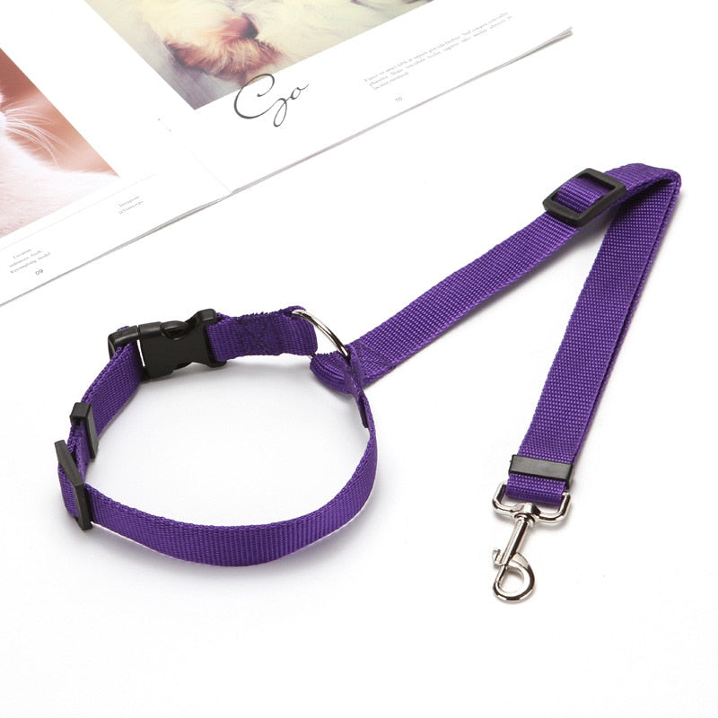 2-in-1 Seat Belt