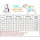 Gilet de Demi Saison