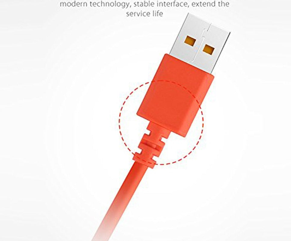 Clé USB Chien en Folie