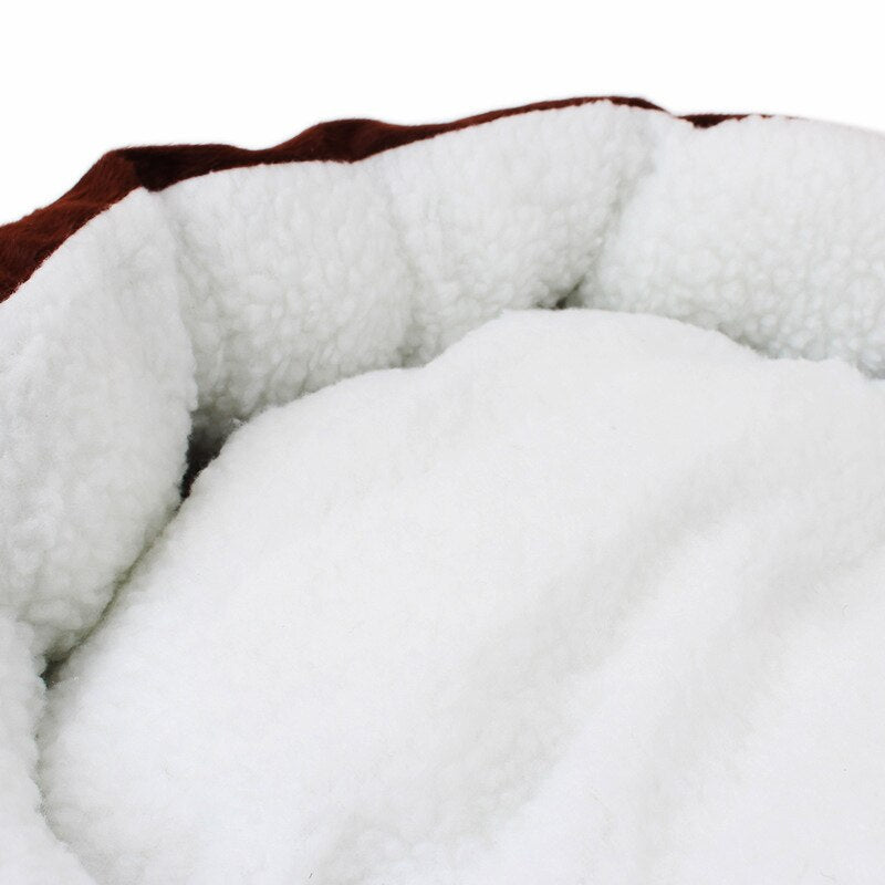 Cozy Douceur