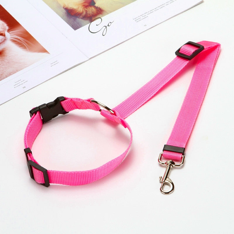 2-in-1 Seat Belt