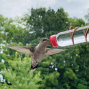 Abreuvoir pour Oiseaux