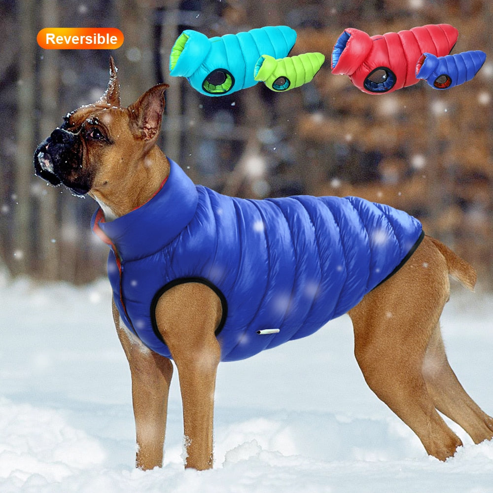 Doudoune pour chien réversible