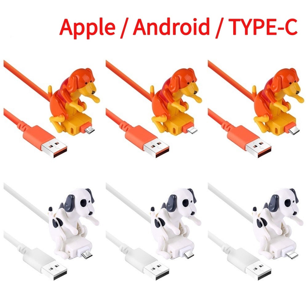 Clé USB Chien en Folie