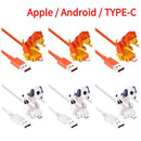 Clé USB Chien en Folie