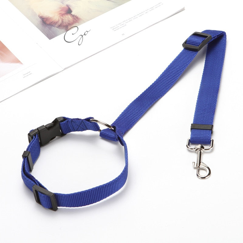 2-in-1 Seat Belt