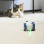 Souris en Folie Automatique