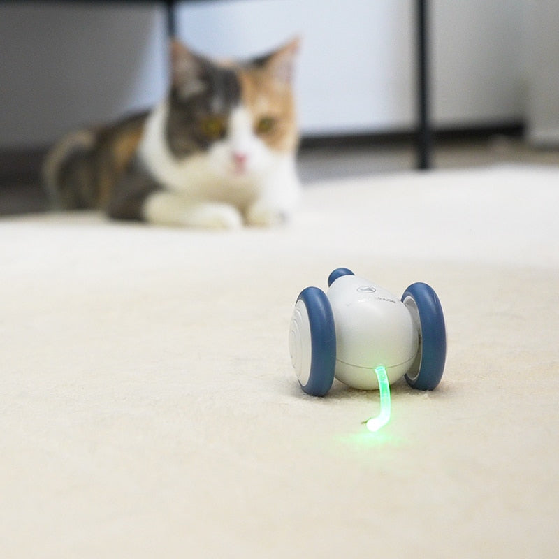 Souris en Folie Automatique