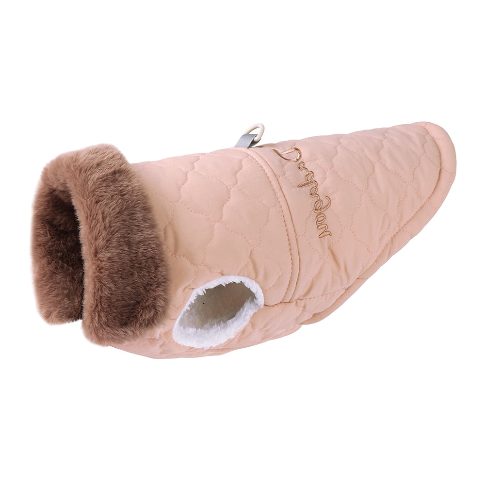 Winter jacket with fur-lined collar