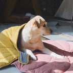 CozyLeaf