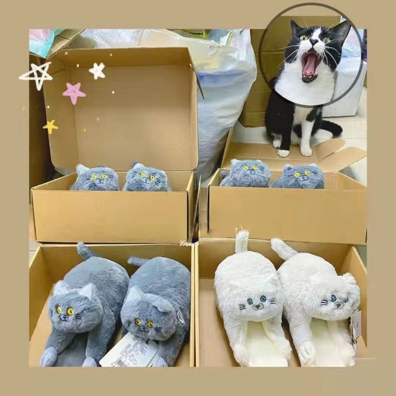 Chaussons Chats
