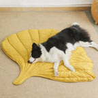 CozyLeaf