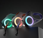 Laisse Lumineuse Rétractable
