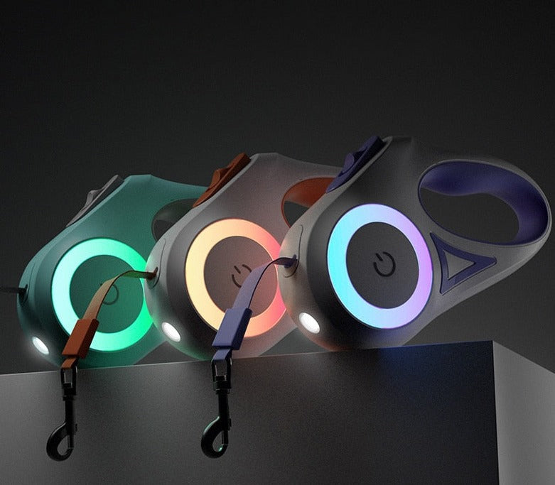 Laisse Lumineuse Rétractable
