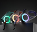 Laisse Lumineuse Rétractable
