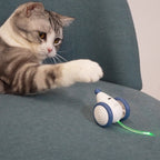 Souris en Folie Automatique