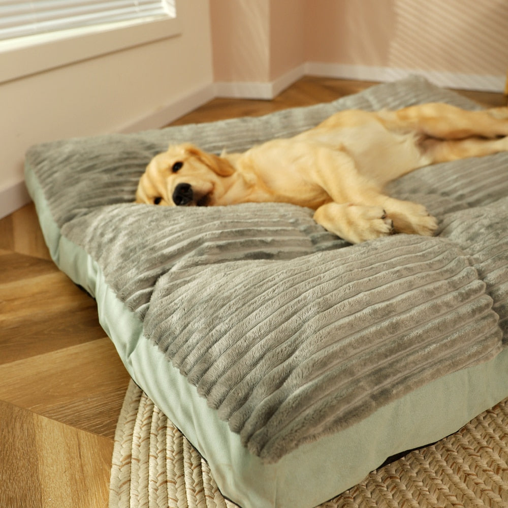 CozyRelax