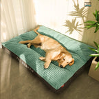 CozyRelax