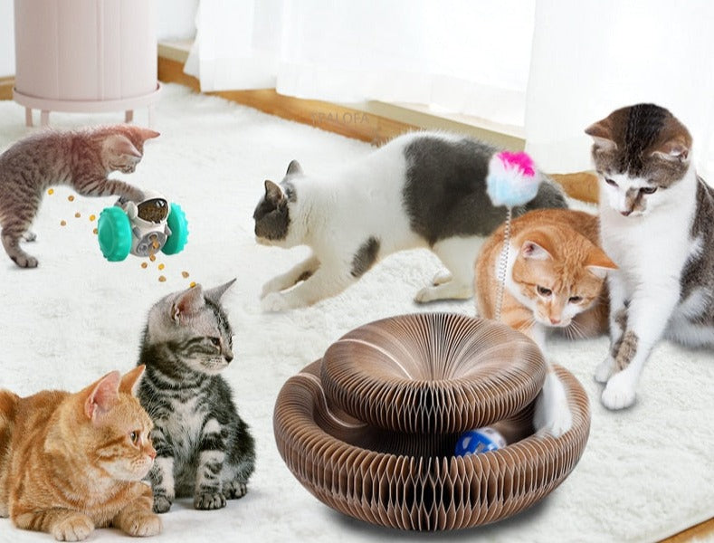 Griffoir Magique Amusant Pour Chat