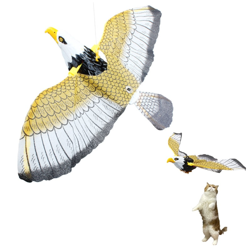 Perroquet Volant pour Chat