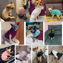 Pull Col Roulé pour Chien