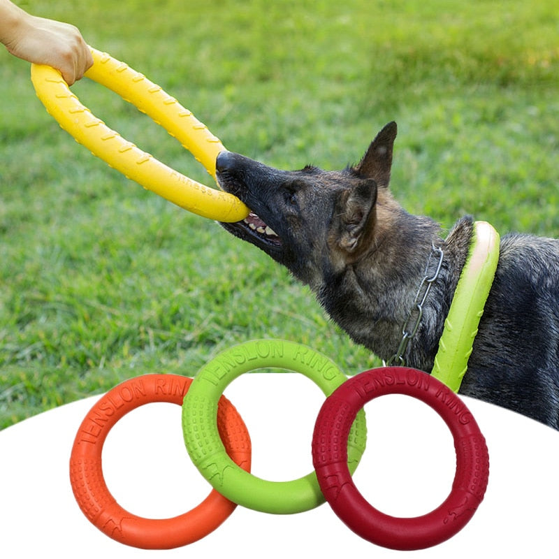 2 x Anneau Résistant Gros Chien