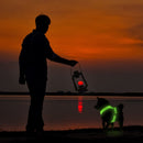 Harnais Lumineux pour Petits Chiens