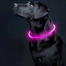Collier clignotant pour chien